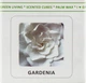 Аромакубики "Гарденія" - Scented Cubes Gardenia Candle 8шт (565925-38647) - зображення 2