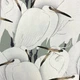Обои виниловые на флизелиновой основе Rasch Kimono 0,53х10,05м слоновая кость (409543) - изображение 1