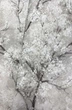 Обои виниловые на флизелиновой основе AS Creation New Walls 0,53х10,05м бежевый (37420-2) - изображение 3