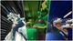 Bakugan Champions of Vestroia (Switch) - изображение 4