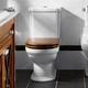 Бачок для унитаза VILLEROY&BOCH Hommage 380x365мм боковой подвод воды 772111R1 - изображение 4