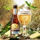 Упаковка пива Grimbergen Blanche 6% 0.33 л x 24 шт. (3080216034676) - зображення 3