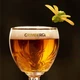 Упаковка пива Grimbergen Blanche 6% 0.5 л x 24 шт. (5901594001266) - зображення 3