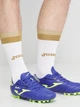 Гетры мужские Joma Ukraine FFU106021.18 S Белые (9998227845096) - изображение 3