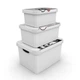 Контейнер Qutu Style Box Pet, 10 л (6739274) - зображення 2