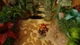 Гра Crash Bandicoot N`Sane Trilogy для PS4 (Blu-ray диск, English version) - зображення 6