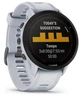 Спортивные часы Garmin Forerunner 955 Solar Whitestone (010-02638-01/21) - изображение 3