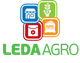 Меренга F1 Огірок Самозапильний Насіння Leda Agro 250 шт - изображение 4