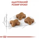 Сухой корм для котят Royal Canin Kitten, 2кг + 400г - изображение 4