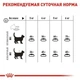 Сухий корм для кішок Royal Canin Oral Care профілактика утворення зубного нальоту та каменю 3.5 кг - зображення 4