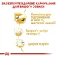 Сухий корм Royal Canin Jack Russell Terrier Adult для дорослих собак породи Джек Рассел тер'єр 3 кг - зображення 5