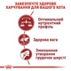 Сухий корм для котів Royal Canin Fit 2 кг + 400 г - изображение 4