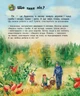 Детская энциклопедия про лес 614016 для дошкольников - изображение 7