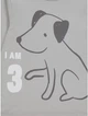 Реглан серый I AM 3 Dog George 92-98см (40005560) - изображение 2
