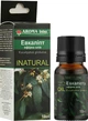 Эфирное масло "Эвкалипт" - Aroma Inter 10ml (946645-64699) - изображение 2