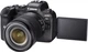 Комплект Фотоаппарат Canon EOS R6 RF 24-105mm F4-7.1 IS STM Black (4082C046AA) + Адаптер Canon EF - EOS R Control Ring Mount Adapter (2972C005) - изображение 5