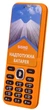 Мобильный телефон Sigma mobile X-style 31 Power Dual Sim Orange - изображение 2
