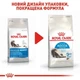 Cухой корм для котов Royal Canin Indoor Longhair, 4 кг - изображение 2