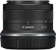 Фотоаппарат Canon EOS R10 + RF-S 18-45 IS STM (5331C047) - изображение 14