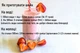 Смесь для молочного шейка / мягкого мороженого KIWI (КИВИ) Ice Cream / Shake - изображение 2