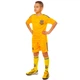 Форма футбольная детская Украина Ukraine Zelart Sport 3900-UKR-16 M (26) рост 135-145 см Yellow - изображение 5