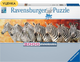 Пазл Ravensburger Panorama Зебри 2000 елементів - зображення 1