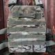 Плитоноска Armoline Plate Carrier MULTICAM - зображення 2