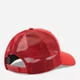 Кепка мужская летняя 47Brand Detroit Red Wings Red Branson H-BRANS05CTP-RDD One Size Красный/Зеленый (194602375113) - изображение 2