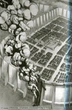 Книга «Атака на титанов. Книга 1». Автор - Хадзимэ Исаяма - изображение 5