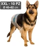 Подгузники для собак 40-62 см Croci Dog nappy XXL 10 шт/уп - изображение 2