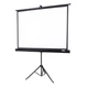 Екран для проектора на штативі OVERMAX TRIPOD SCREEN 60 - зображення 1