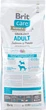 Сухой корм для собак весом до 25 кг Brit Care GF Adult Salmon & Potato 12 кг (8595602510139) - изображение 3