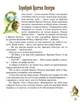 Казки дядечка Римуса. Гарріс Джоель Чандлер (978-617-5880-012) - зображення 4