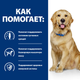 Сухой корм Hill's Prescription Diet j/d Joint Care для собак с курицей 12 кг - изображение 4