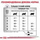 Сухий корм Royal Canin Calm Feline для котів у періоди адаптації 4 кг (3182550765367) - зображення 4