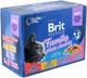 Вологий корм для кішок BRIT Premium Мікс смаків 12х100г (8595602506255) (RU) - зображення 2