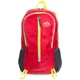 Рюкзак спортивный SP-Sport Color Life Action 9007 объем 25 литров Red - изображение 4