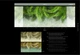 Фотообои FIJI MURAL Wallpaper с рисунком пальмовых листьев FJ312-1 - изображение 3