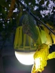Ліхтар знищувач комарів Ranger Easy light (Арт. RA 9933) - зображення 10