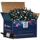 Вулична новорічна гірлянда Springos 15 м 300 LED CL0320 Cold White - зображення 9