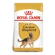Сухой корм для собак Royal Canin German Shepherd Adult, 12 кг - изображение 1