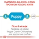 Корм для щенков породы Чихуахуа ROYAL CANIN CHIHUAHUA PUPPY 0.5 кг - изображение 5