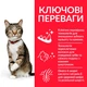 Сухой корм для поддержания здоровья полости рта и зубов взрослых кошек Hill's Science Plan Adult Oral Care с курицей 1.5 кг - изображение 3