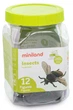 Набор фигурок насекомых Miniland Insects (12 шт.) - изображение 2