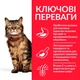 Сухий корм Hill's SP Adult Sensitive Stomach&Skin для котів із чутливим травленням з куркою 1.5 кг - изображение 2