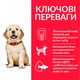 Сухий корм Hill’s SP Puppy Large Breed для цуценят великих порід з куркою 14.5 кг - зображення 2