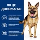 Сухий корм Hill’s Prescription Diet Gastrointestinal Biome для собак при захворюваннях ШКТ з куркою 10 кг - зображення 5
