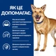 Сухий корм Hill's Prescription Diet i/d для собак догляд за травленням з куркою 1.5 кг - изображение 5