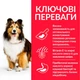 Сухий корм Hill’s SP Adult Sensitive Stomach&Skin Medium Breed для собак середніх порід з куркою 2.5 кг - зображення 2