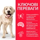 Сухий корм Hill’s SP Adult Light Large Breed для собак великих порід схильних до ожиріння з куркою 14 кг - изображение 3